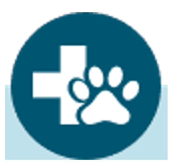 First Aid for Dogs and Cats (ONLINE COURSE)