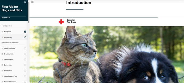 First Aid for Dogs and Cats (ONLINE COURSE)