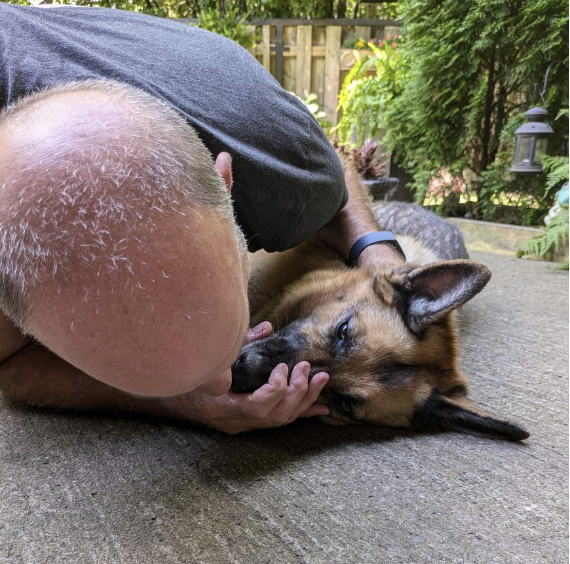 First Aid for Dogs and Cats (ONLINE COURSE)