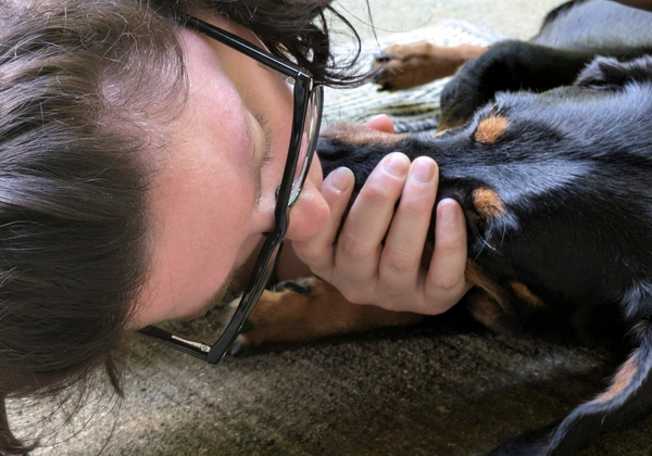 First Aid for Dogs and Cats (ONLINE COURSE)