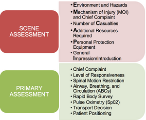 Scene and Primary Assessment
